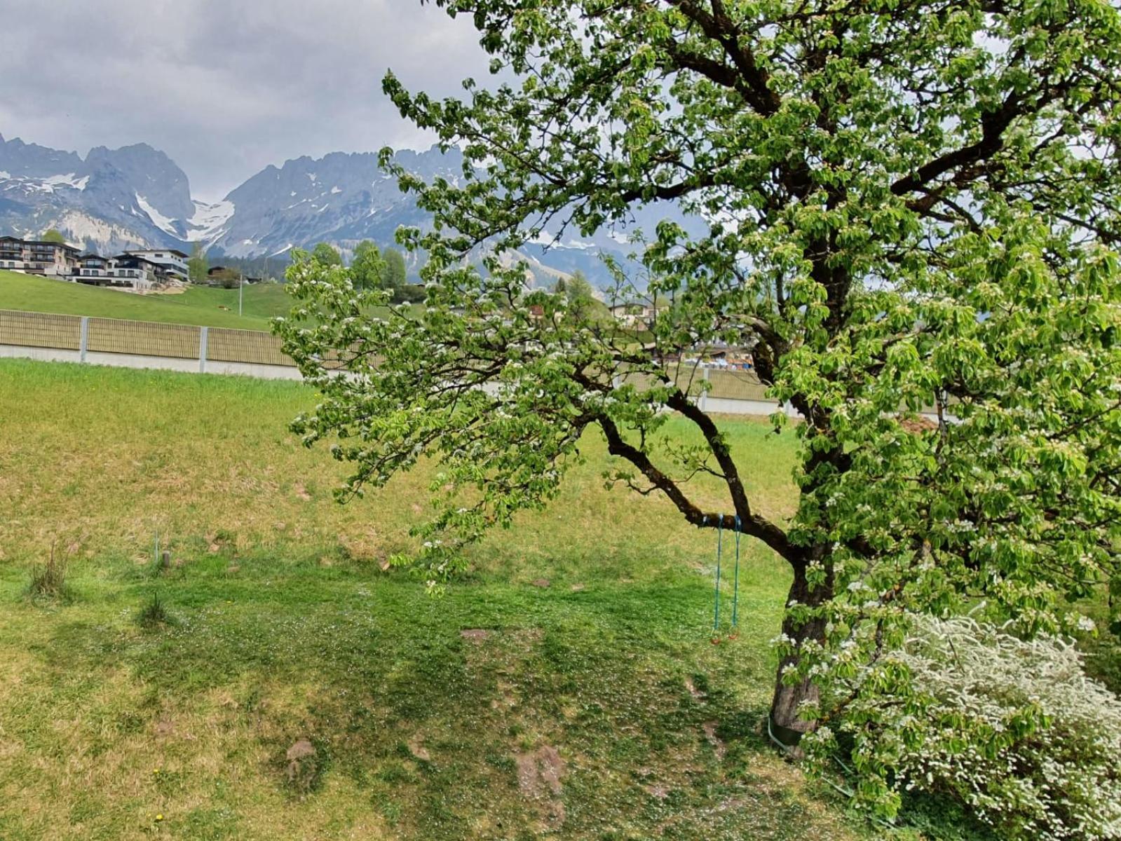 דירות Going am Wilden Kaiser Haus Strobler חדר תמונה